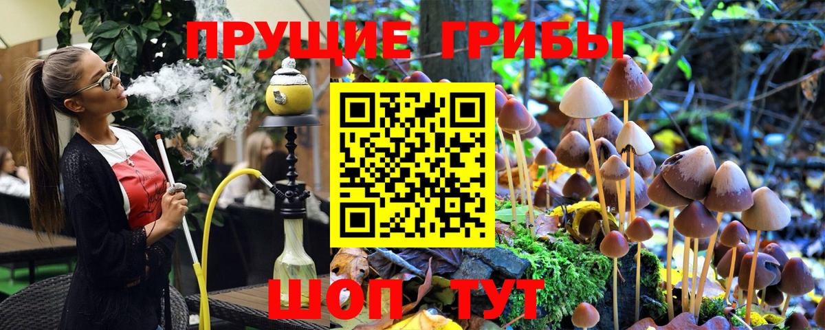 Галлюциногенные грибы GOLDEN TEACHER Малгобек